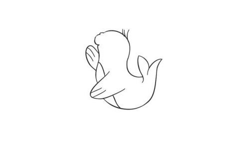 海狮简笔画创作步骤图示03