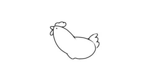 鸡的简笔画创作步骤图示03