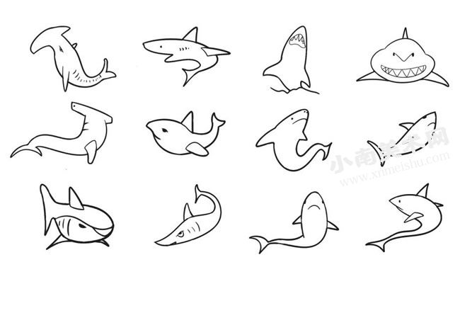 鲨鱼简笔画图片高清大图