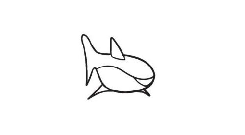 鲨鱼简笔画创作步骤图示03