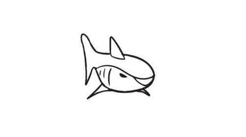 鲨鱼简笔画创作步骤图示04