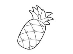 菠萝简笔画法步骤