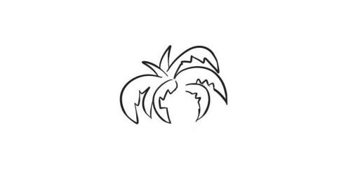 椰子树简笔画创作步骤图示02