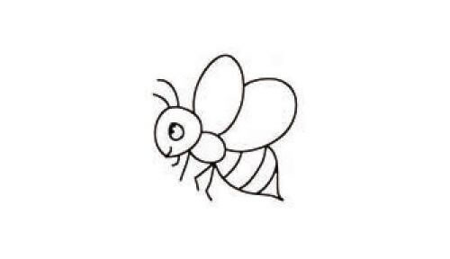 小蜜蜂的简笔画法步骤图示04