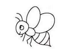 小蜜蜂简笔画法步骤
