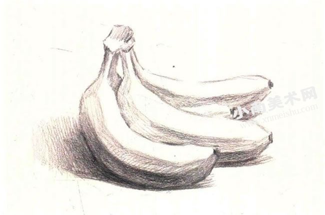 香蕉素描作画步骤图示03