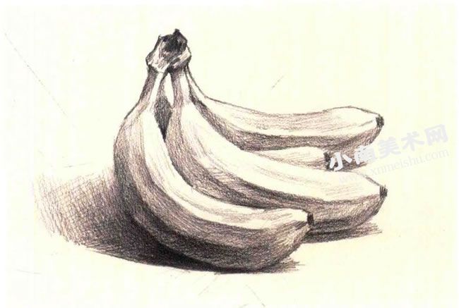 香蕉素描作画步骤图示04