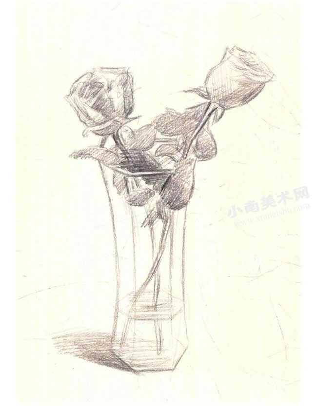 《花瓶里的花》素描作画步骤图示02