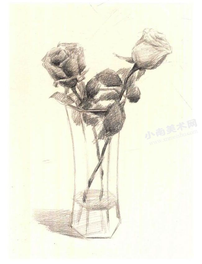 《花瓶里的花》素描作画步骤图示03