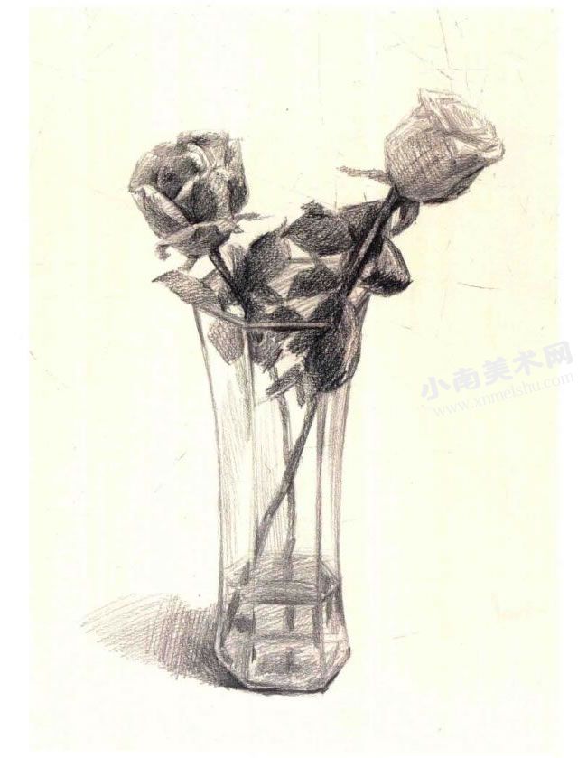 《花瓶里的花》素描作画步骤图示04