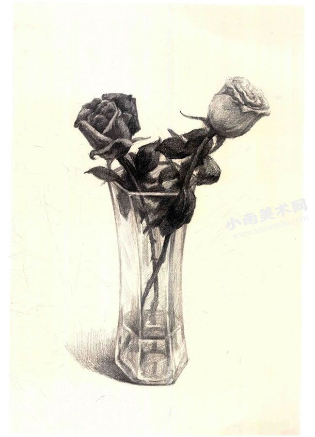《花瓶里的花》素描作画步骤图示05