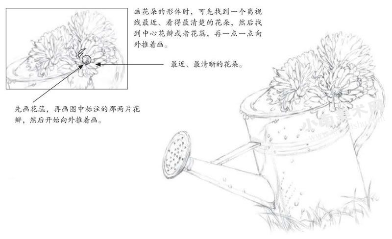 洒水壶与花朵素描绘制步骤图示02