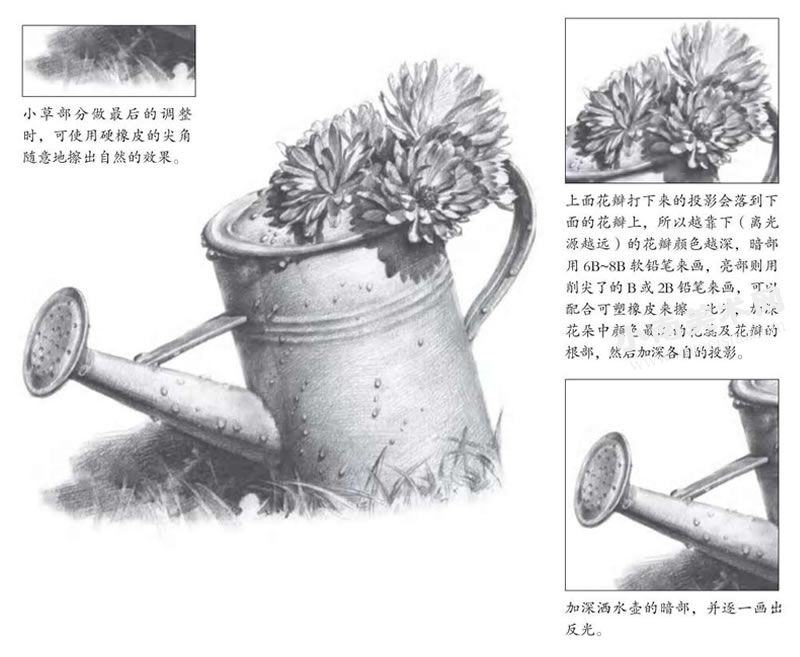 洒水壶与花朵素描绘制步骤图示06