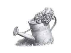 洒水壶与花朵素描绘制步骤