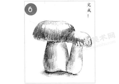 香菇的素描绘制步骤图示06