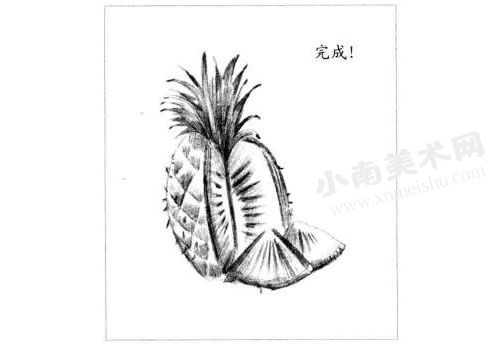 菠萝的素描绘制步骤图示06