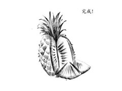 菠萝的素描绘制步骤