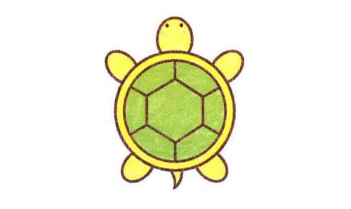 乌龟的简笔画绘制步骤图示05