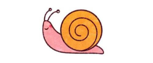 蜗牛的简笔画绘制步骤图示05
